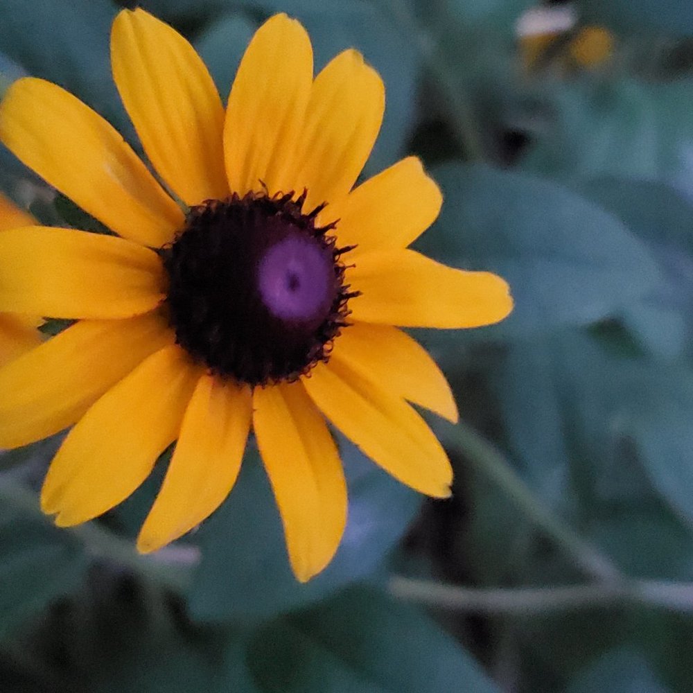 Meet your Posher, London